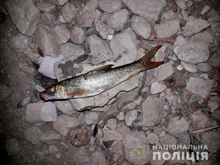 У Новоднострівську браконьєр на міському пляжі ловив червонокнижну рибу