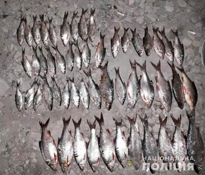 У Новоднострівську браконьєр на міському пляжі ловив червонокнижну рибу