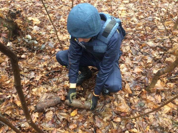 На Новоселиччині знищили 2 артснаряди