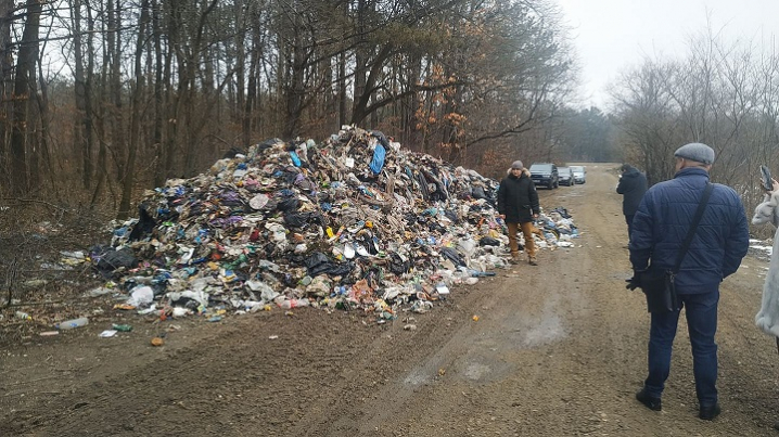 Неприємний подарунок: уночі в хотинському лісництві скинули львівське сміття