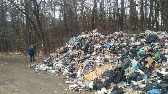 Неприємний подарунок: уночі в хотинському лісництві скинули львівське сміття
