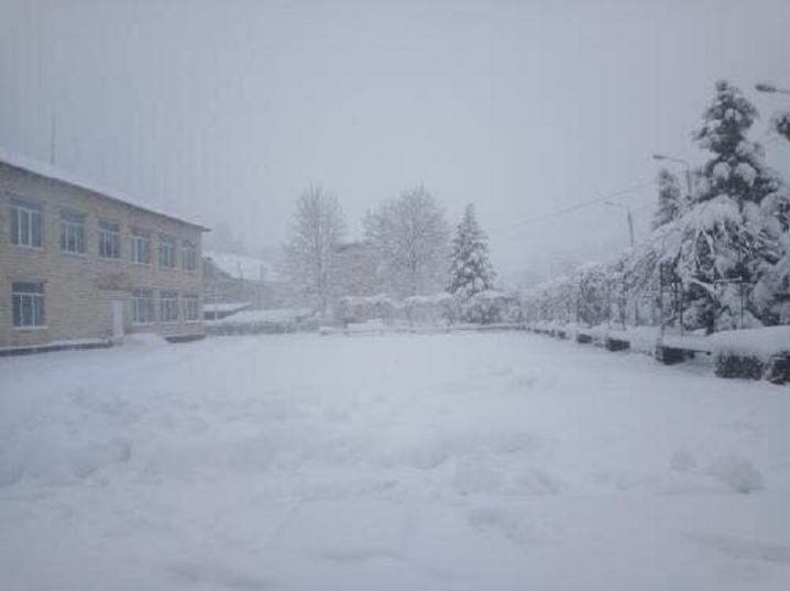 На Буковині через сильний снігопад призупинили навчання у школах