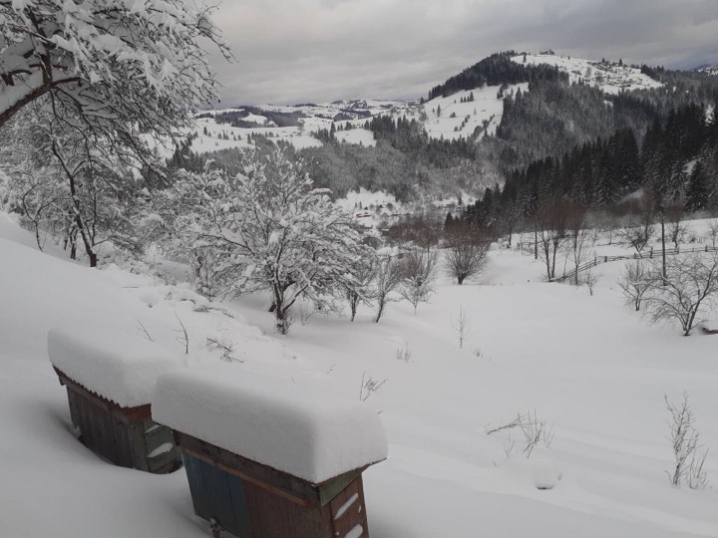 На Путильщині випало до метру снігу