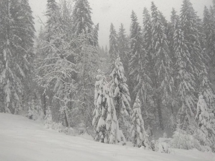 На Путильщині випало до метру снігу