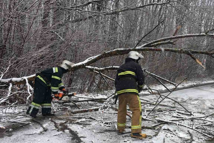 Ожеледиця та повалені дерева: рятувальники допомагали буковинцям на дорогах