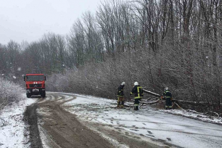 Ожеледиця та повалені дерева: рятувальники допомагали буковинцям на дорогах