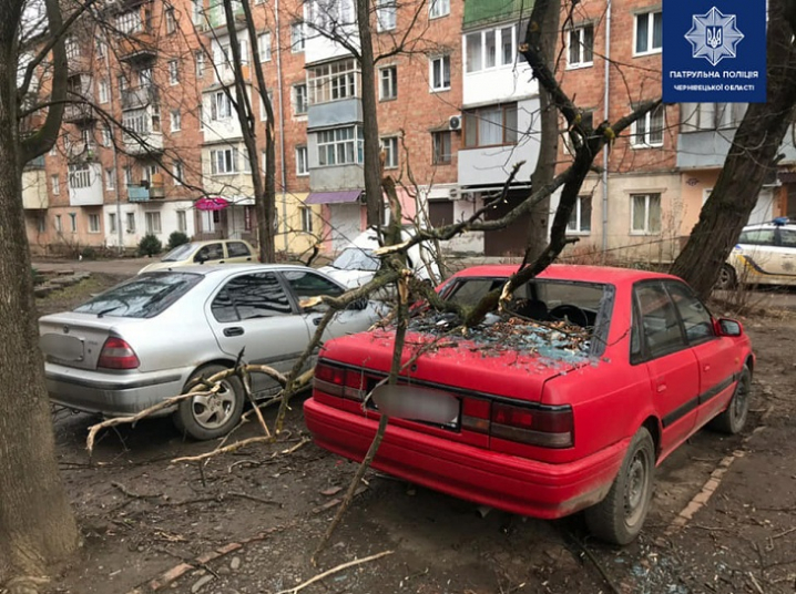 Розтрощені авто, зламані паркани, будинок без даху: наслідки негоди у Чернівцях