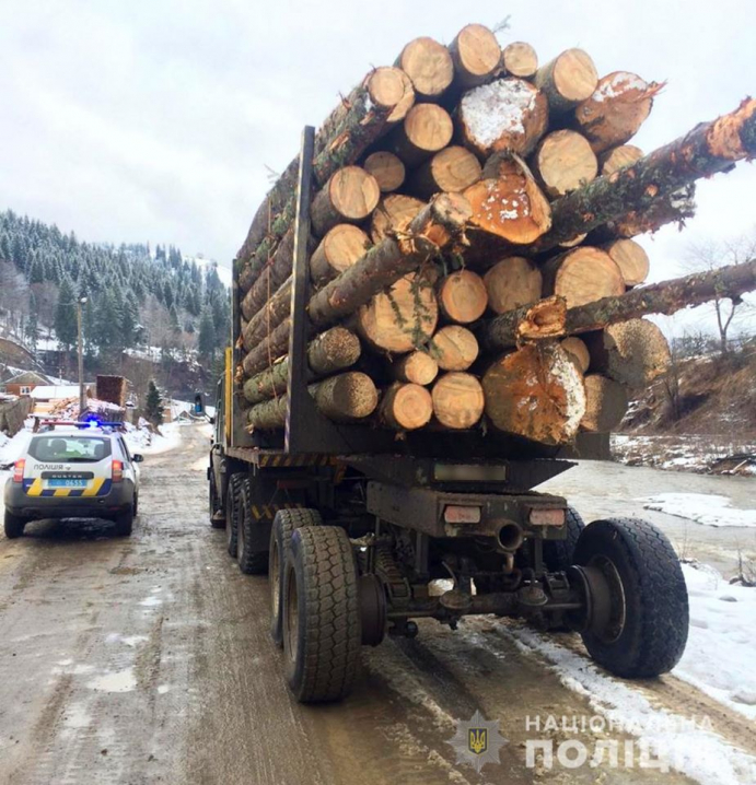 На Путильщині чоловік незаконно перевозив  40 колод дерев