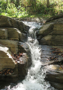 "Королівський водоспад": нова туристична локація на Буковині