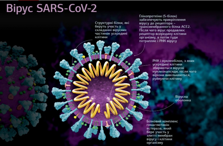 Коронавірус: перші симптоми захворонювання