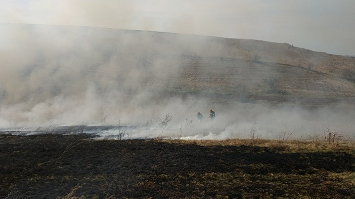 Пожежі на Буковині: під час руху загорівся автомобіль