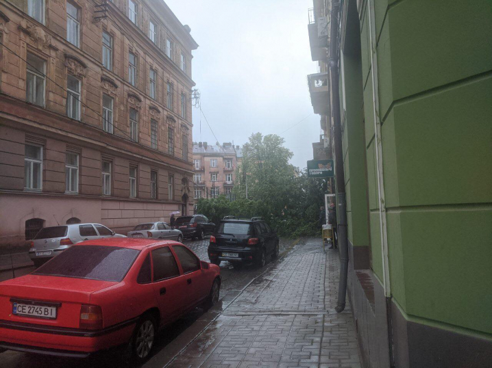 Злива у Чернівцях: затоплені вулиці та повалені дерева