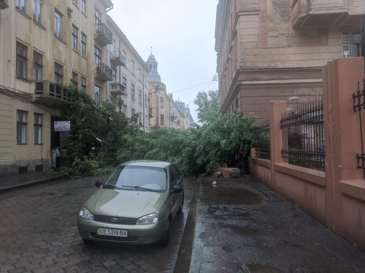 Злива у Чернівцях: затоплені вулиці та повалені дерева