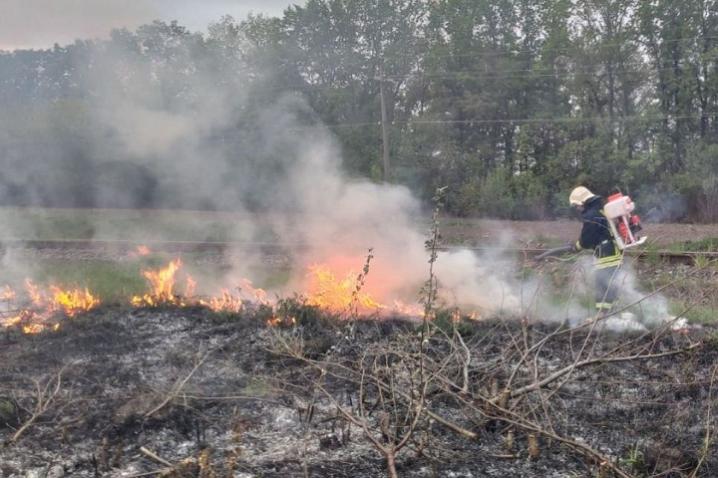 У Чернівецькій області у пожежі частково згоріло авто