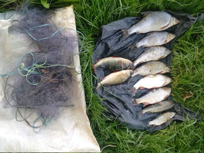 Понад 182 тисячі гривень збитків:  на Буковині зафіксували 562 порушення правил рибальства