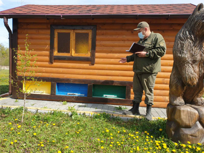 На Сокирянщині запрошують до "бджолиного будинку"