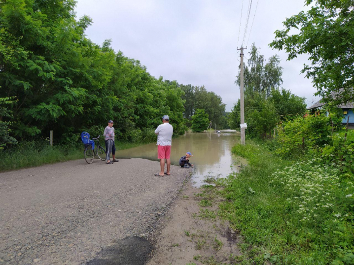 Прут вийшов з берегів: у селі Маршинці підтопило значну частину угідь