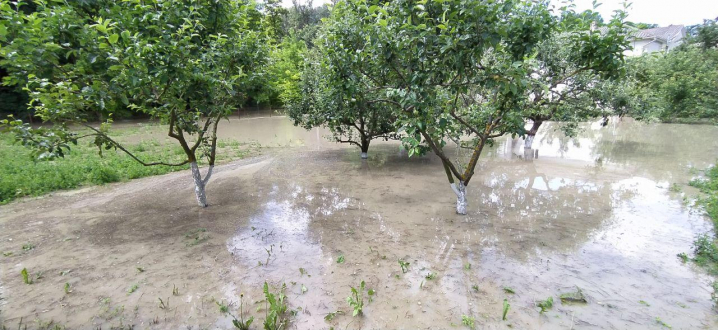 Прут вийшов з берегів: у селі Маршинці підтопило значну частину угідь