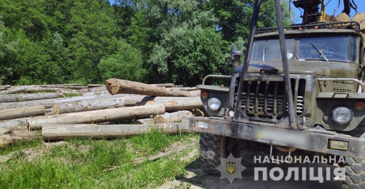 На Вижниччині незаконно вивозили деревину На Вижниччині незаконно вивозили деревину
