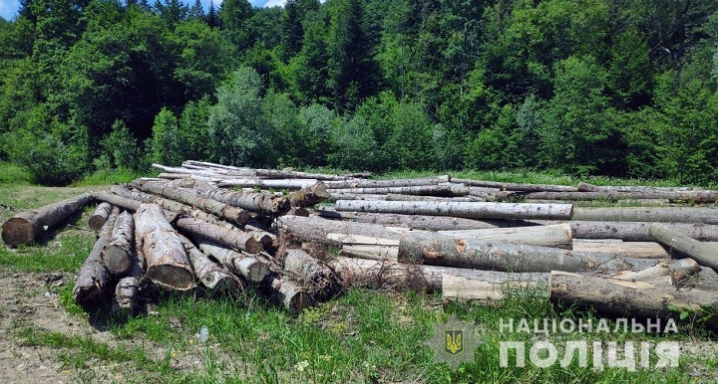 На Вижниччині незаконно вивозили деревину На Вижниччині незаконно вивозили деревину