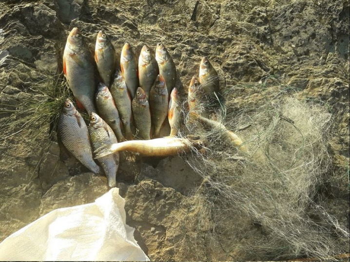 Рибоохоронний патруль Буковини викрив 33 порушення з початку місяця