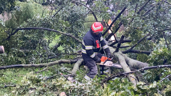 Розпилюють дерева: у Чернівцях рятувальники ліквідували наслідки негоди