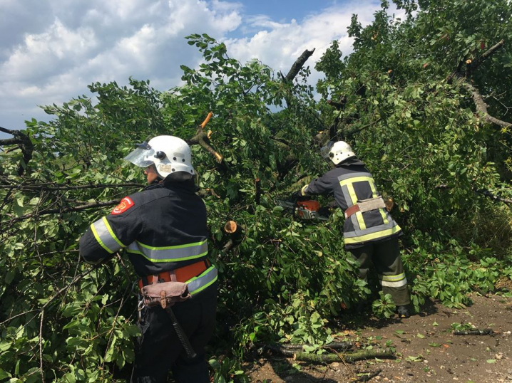 На Буковині рятувальники прибрали повалені внаслідок негоди дерева