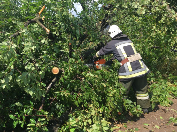 На Буковині рятувальники прибрали повалені внаслідок негоди дерева