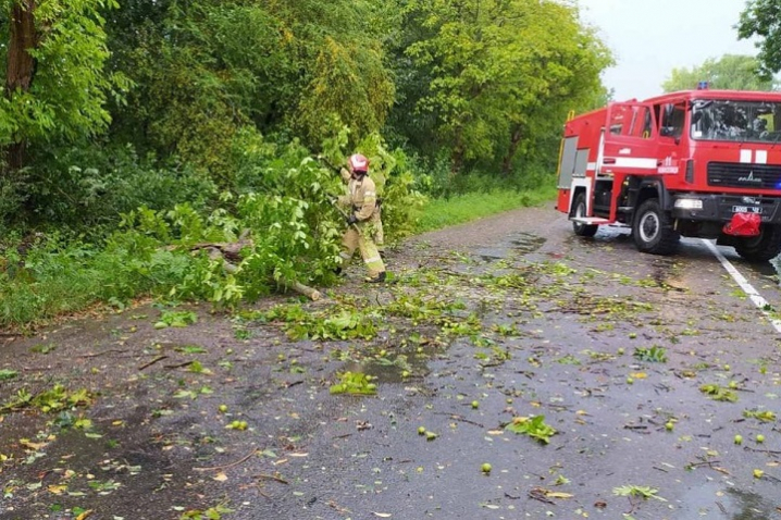 На Новоселиччині прибрали дерева, які стихія повалила на дорогу