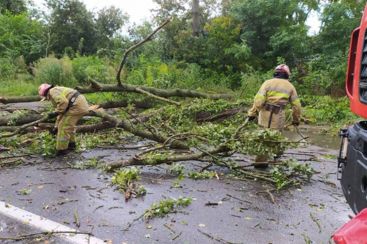 На Новоселиччині прибрали дерева, які стихія повалила на дорогу