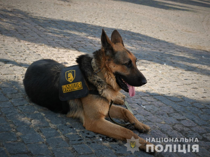 У Чернівцях поліцейські та волонтери провели благодійний ярмарок для допомоги безпритульним тваринам