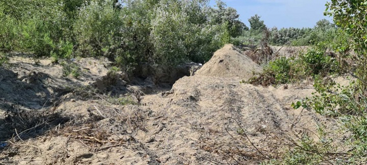 На території області виявили незаконний видобуток піску та вирубку дерев