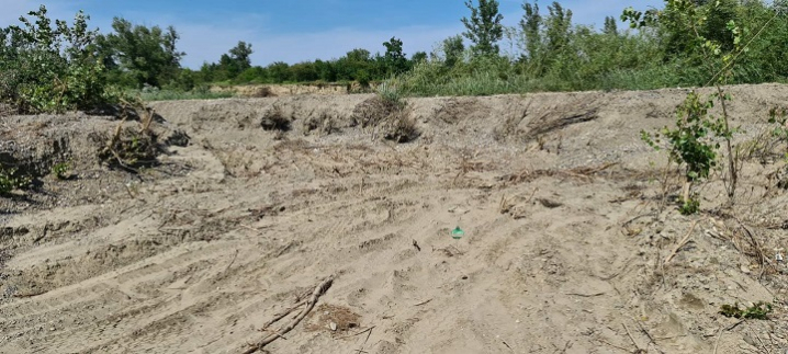 На території області виявили незаконний видобуток піску та вирубку дерев