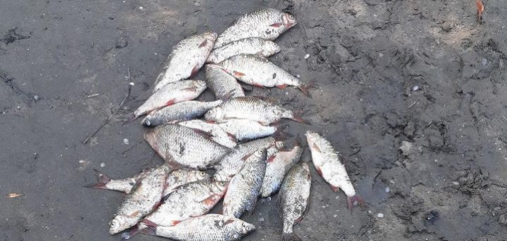 На Кельменеччині двоє браконьєрів зловили риби на суму 4 тисячі гривень