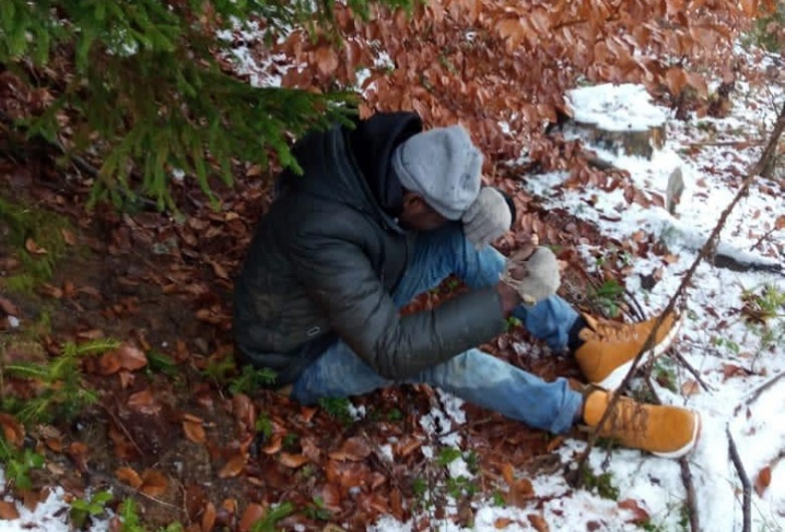 Мешканець Африканського континенту вже вдруге "завітав" до буковинських прикордонників