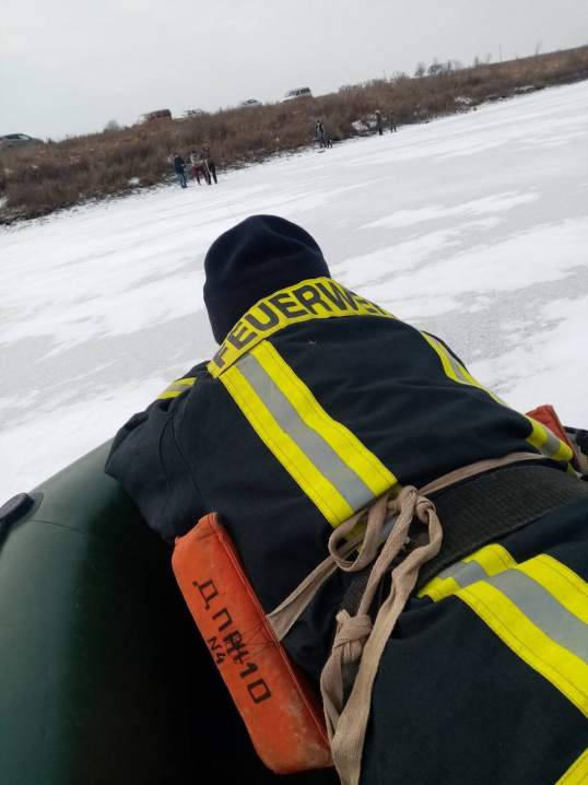 На Кельменеччині рятувальники допомогли лебедям, які примерзли лапами до криги