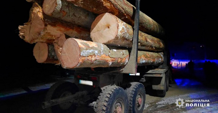 На Буковині викрили незаконне вивезення лісу