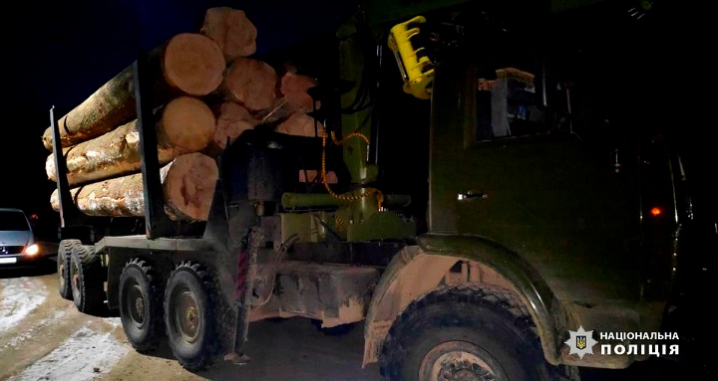 На Буковині викрили незаконне вивезення лісу