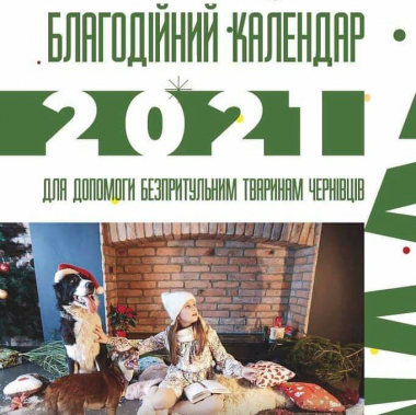 У Чернівцях у переддень Різдва презентували благодійний календар для допомоги безпритульним тваринам