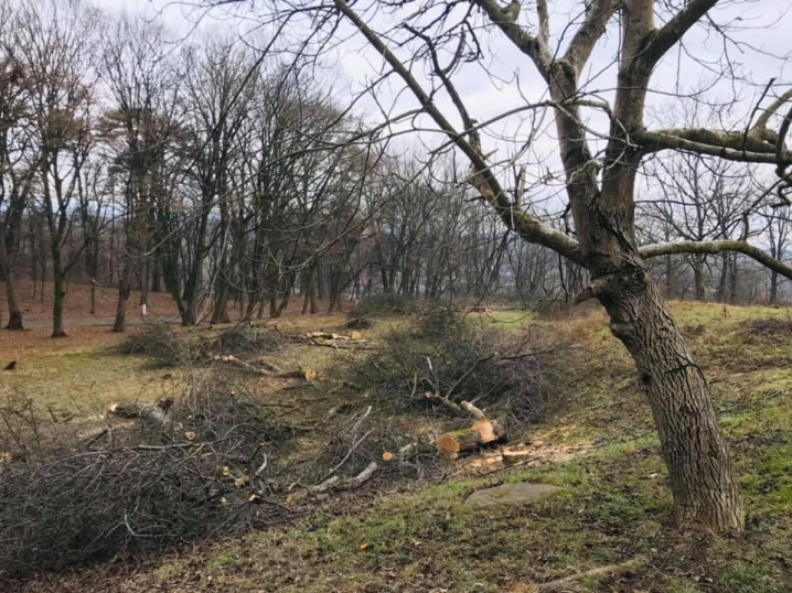 На території одного з дитячих будинків засадять фруктовий сад