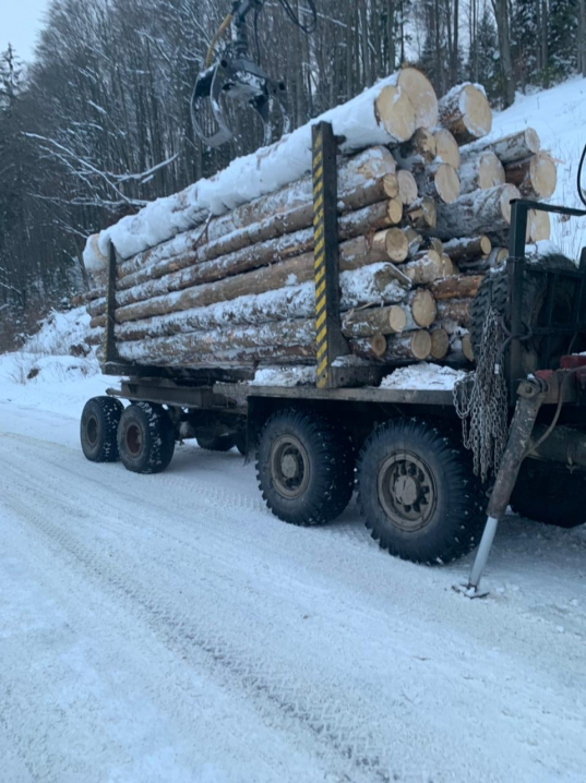 На Буковині прикордонники зупинили вантажівку з нечипованою деревиною (ВІДЕО)