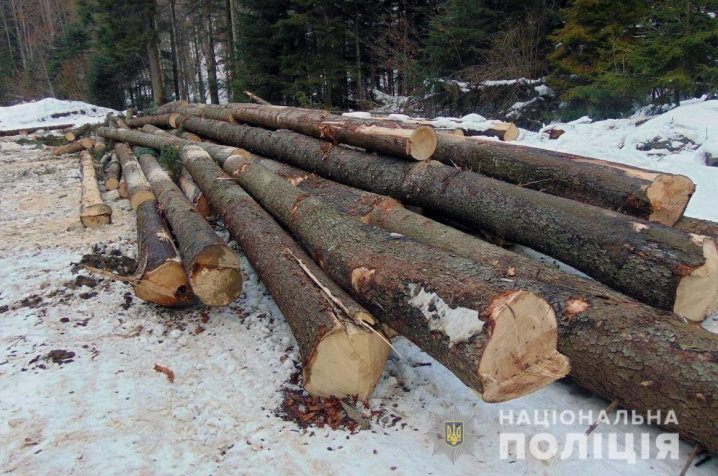 На Буковині виявили незаконне зберігання лісу: порушнику загрошує до трьох років позбалення волі