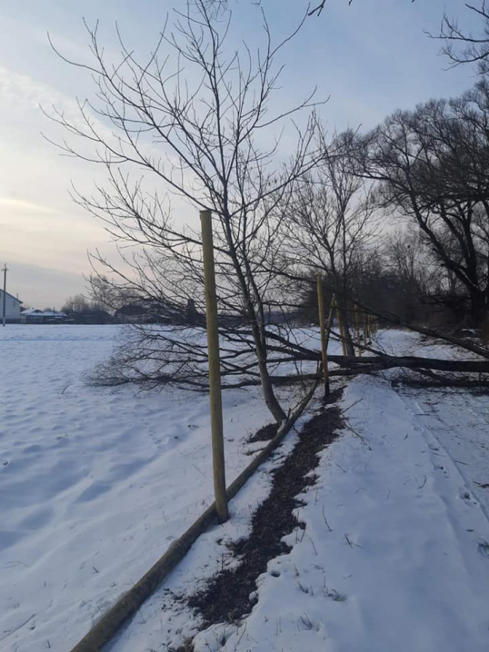 Спилювали дерево, а пошкодили газопровід: на Буковині село залишилось без тепла