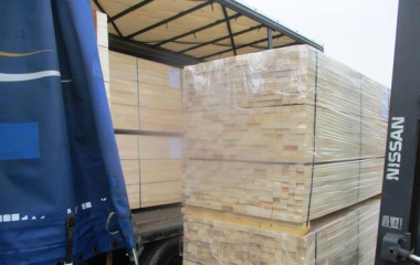Буковинські митники викрили незаконне вивезення лісоматеріалів вартістю майже 500 тисяч гривень