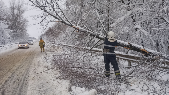 Повалені дерева та заблоковані авто: на Буковині ДСНСники боролися із наслідками негоди