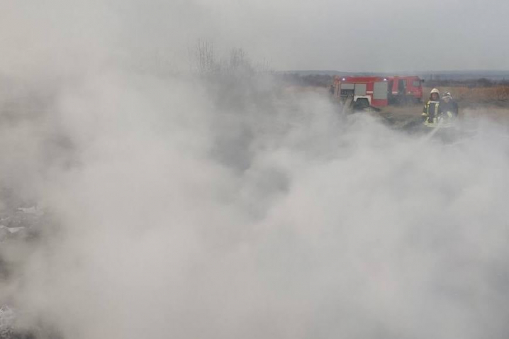 Пожежі у Чернівецькій області: горіла суха трава 