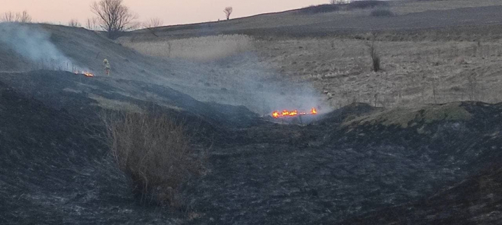 Вчора на Буковині згоріло 6 га сухої трави