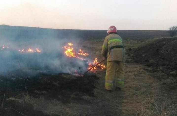 Вчора на Буковині згоріло 6 га сухої трави