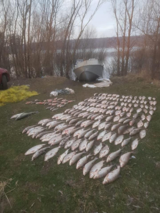 На Дністровському водосховищі затримали браконьєрів, які наловили риби на 1,6 мільйона гривень