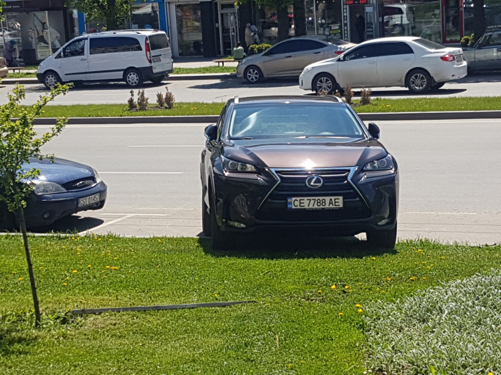 Водійку Lexus, яка припаркувалась на газоні у Чернівцях, оштрафували на 340 грн